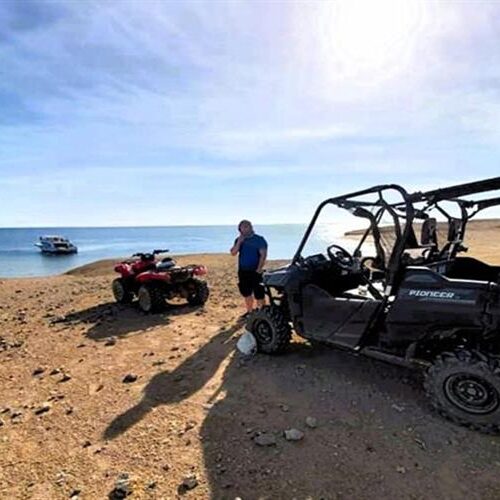 Hurghada Quad- und Buggy Meerblick, Kamel bei Sonnenaufgang