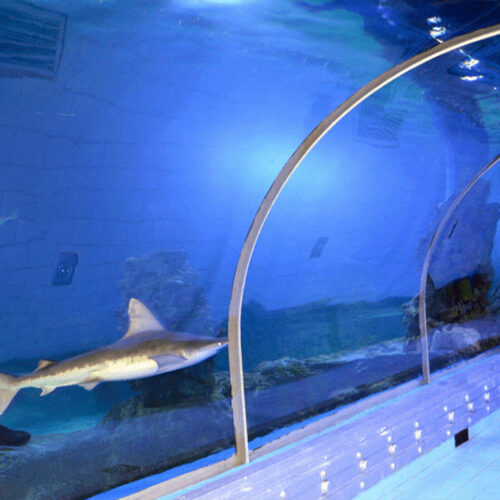 Eintrittskarte zum Hurghada Grand Aquarium mit privater transfer